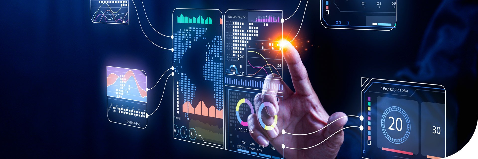 Digital evolution dynamic assets