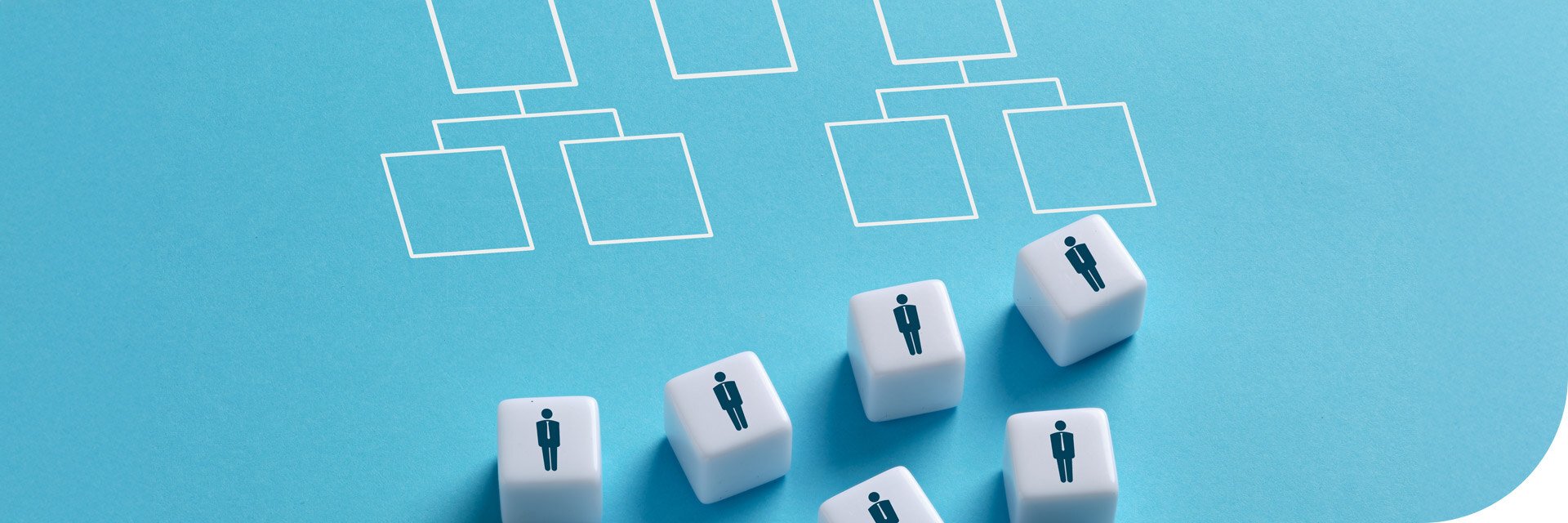 Structures and models for business organizational design