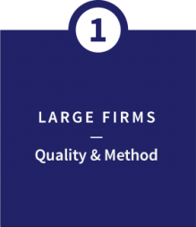 Large Firms