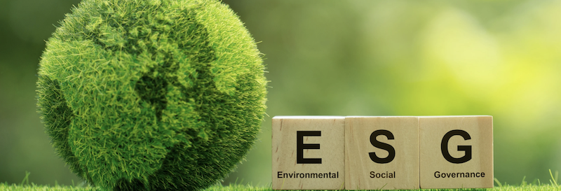 ESG is here to stay. The question is, are you ready?